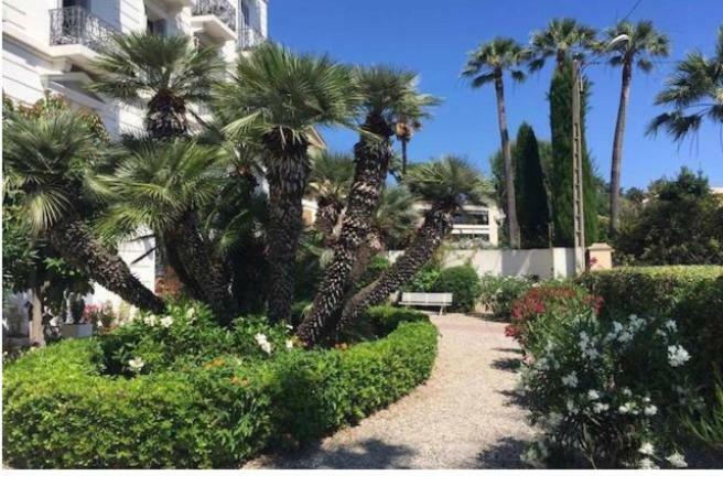 Winter Palace Cannes Exteriör bild